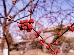 -三里河公园