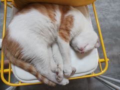 -五进制 Coffee Shop