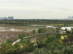 -天津东丽湖风景区