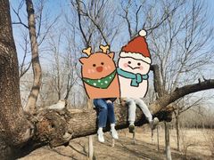 -东郊湿地公园