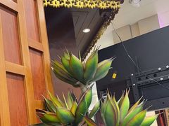 -荷花泰菜(东方新天地店)