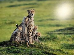 -罗红摄影艺术馆