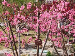 -西海子公园