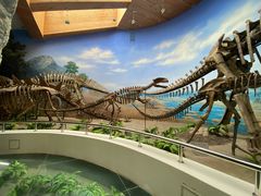 -延庆地质公园博物馆