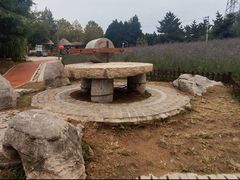 -羊亭河湿地公园