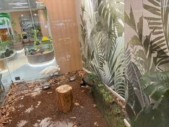 -万达广场(南京江宁店)