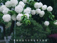 -荆川公园