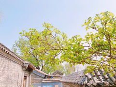 -三里河公园