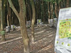 -同里国家湿地公园