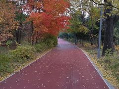 -长春市南湖公园