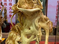 -东南花都花博园