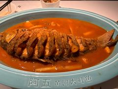 -阿五黄河大鲤鱼(英协路店)