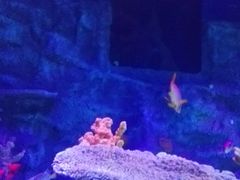 -沈阳海洋探索中心