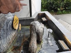 -院里寻菜·精致庭院菜(观沙岭店)