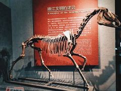 -齐齐哈尔市博物馆