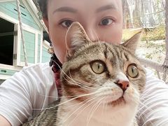 巧克力-喵屿·大理花园猫咖