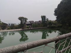 -铁山坪森林公园