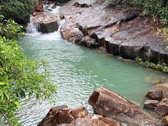 -广州白江湖森林公园