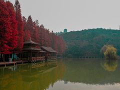 -采石矶景区