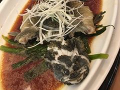 -新南华大酒店(广中店)