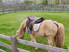 -前小桔亲子创意农场·草莓采摘·露营烧烤