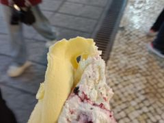 -柠檬车露(卖草地店)