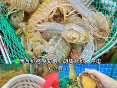 -三亚亚特兰蒂斯度假区