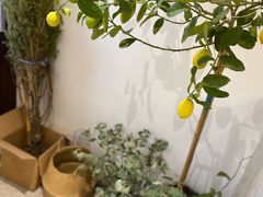 -肥朵食堂(带梦胡同店)