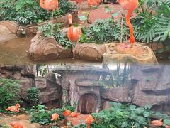 -长鹿旅游休博园