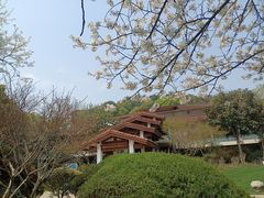 -中国茶叶博物馆(双峰馆区)