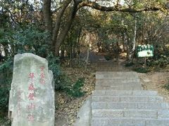 -紫金山山顶公园