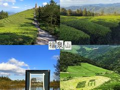 -晓琦农家菜馆·地道农家菜