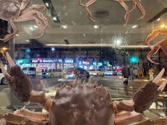 -新花城蟹粉馆(乌鲁木齐店)