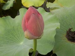 -上海市保健医疗中心