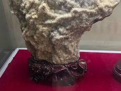 -延庆地质公园博物馆