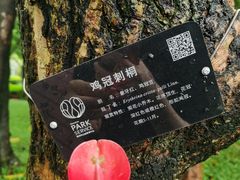 -深圳国际园林花卉博览园