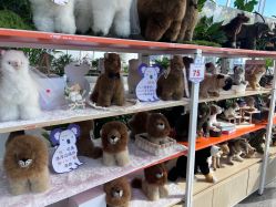 -IMON·HANSA潮玩玩偶毛绒玩具(通州万象汇店)