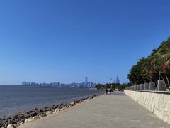 -深圳湾公园(南山区)