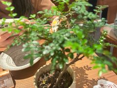 -CURRY YA 熟成咖哩專門店(深圳湾万象城店)