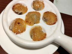 -黑松白鹿(崇文门新活馆店)