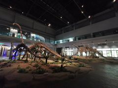 -自贡恐龙博物馆