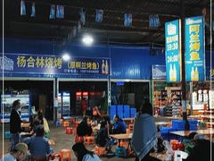 -杨合林啊兰烤鱼