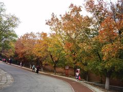 -北京凤凰岭