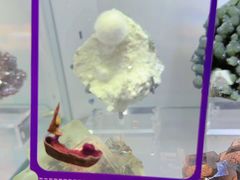 -南京维景国际大酒店(南京博物院店)