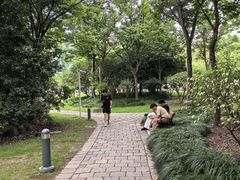 -新虹桥中心花园