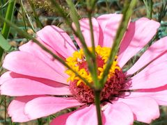 -皇粮浜湿地公园