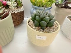 -巴黎春天(浦建店)