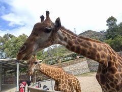 -泉州海丝野生动物世界