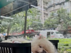 -瑞派宠物医院(锦江店)