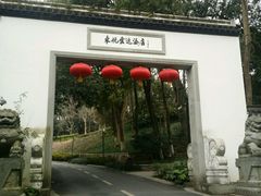-东航云逸酒店(九溪烟树店)